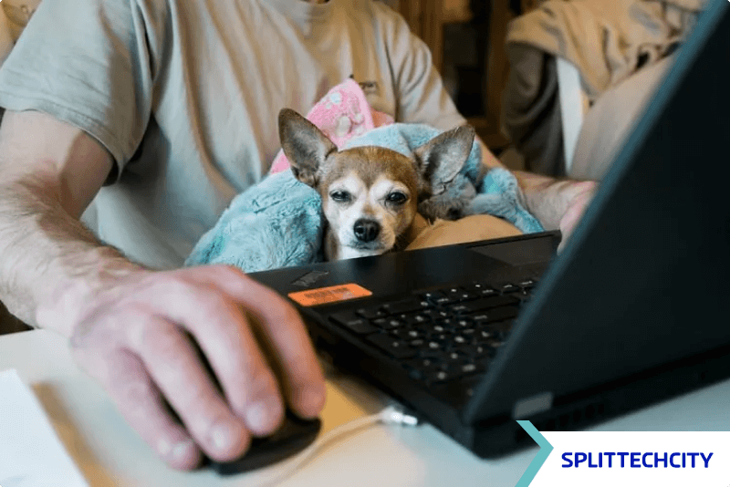 Kancelarija 21. stoljeća: Ulaganje u kripto – zašto se zamarati porezima?